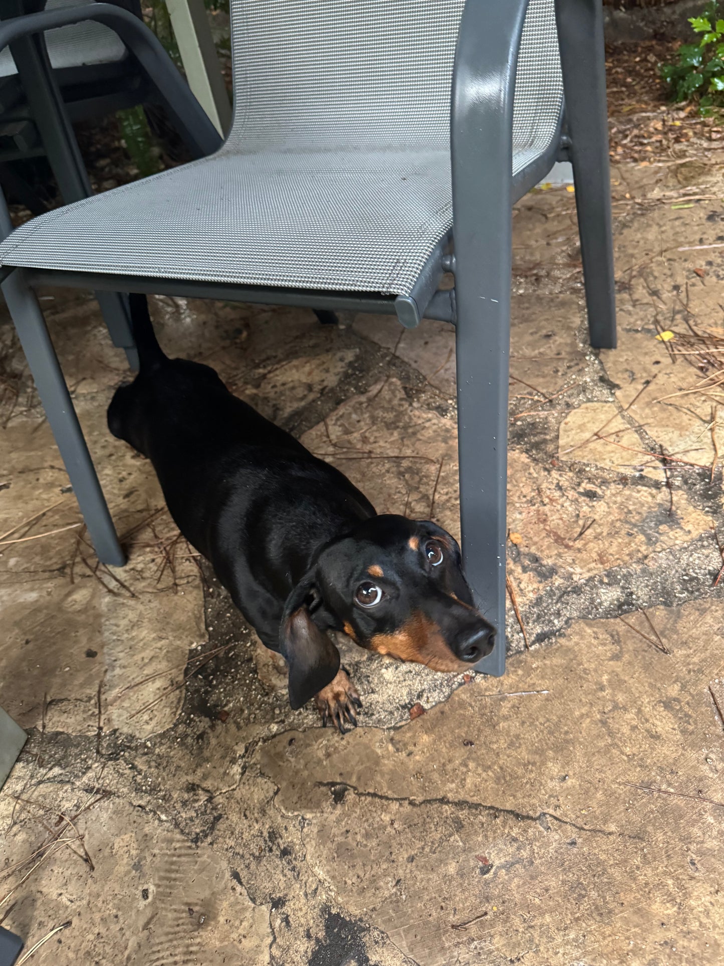 IdentifiableString Description test