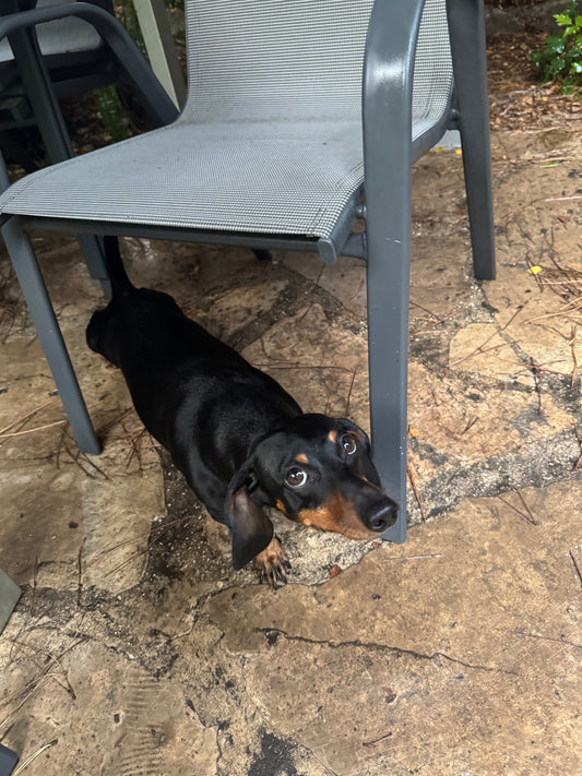 IdentifiableString Description test3